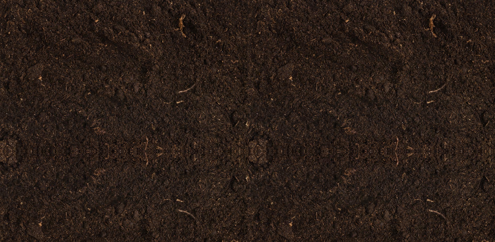 main-slider-three-bg